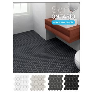 Série Ontario * Hexagone 2x2 Lustré